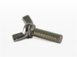 Figure American style wing screw 